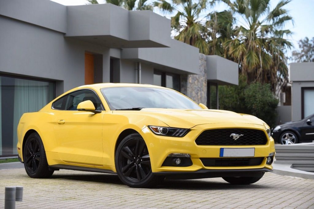 mustang
