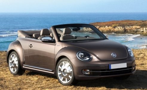 beetle